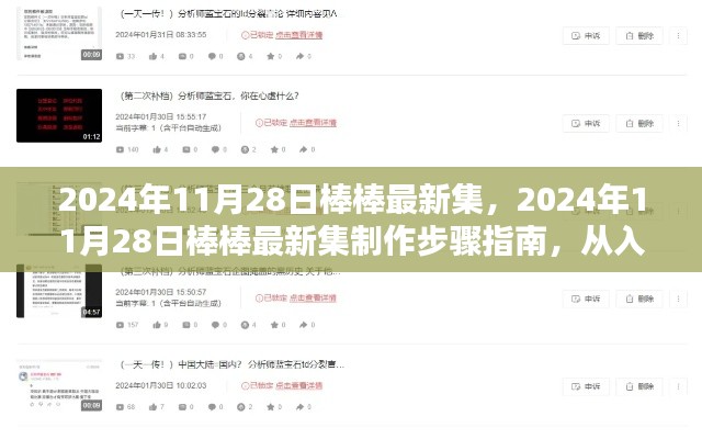 2024年11月28日棒棒最新集制作指南，從入門到精通