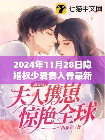 隱婚權(quán)少愛妻入骨深度解析與最新體驗報告（2024年11月28日）