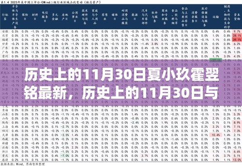 歷史上的11月30日與夏小玖霍翌銘，深度解讀與最新觀點闡述