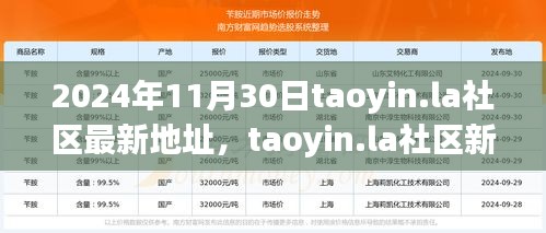 2024年11月30日taoyin.la社區(qū)新址展望，機遇與挑戰(zhàn)并存