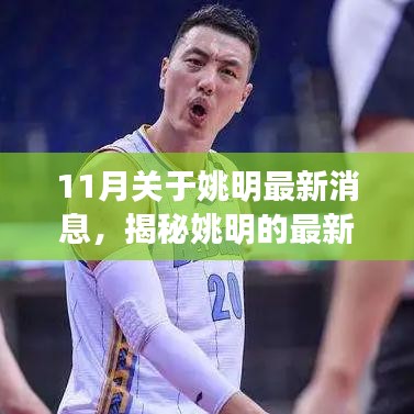 揭秘姚明最新動態(tài)，11月重磅消息全解析