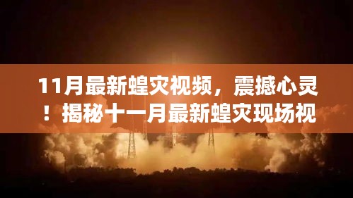震撼心靈！揭秘十一月最新蝗災(zāi)現(xiàn)場實錄視頻