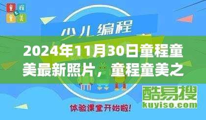 童程童美之旅，探索自然美景的最新照片與內(nèi)心平靜的力量之旅（2024年11月30日）
