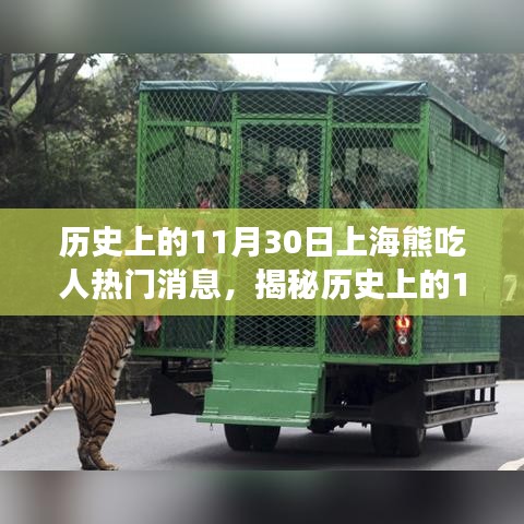 揭秘上海熊吃人事件，歷史真相與傳聞回顧（附日期，XX年XX月XX日）