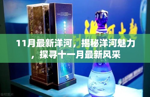 揭秘洋河魅力，十一月最新風采展示