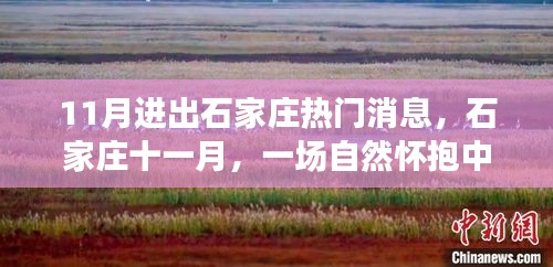 石家莊十一月，自然懷抱中的心靈之旅，進出熱門消息