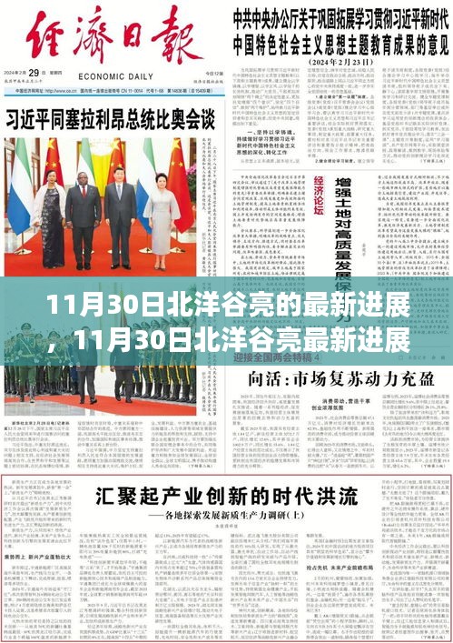 11月30日北洋谷亮最新進展報告，揭秘最新動態(tài)與成果展示