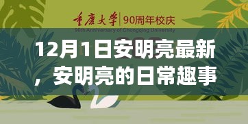 安明亮日常趣事，溫馨時(shí)光回顧，12月1日的精彩瞬間