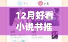 十二月最新熱門小說推薦與深度測評，不容錯過的閱讀盛宴