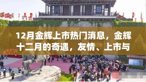 金輝十二月，友情、上市與家的溫馨故事，十二月金輝上市熱議話題