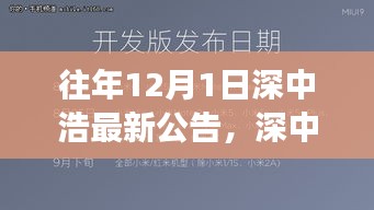 深中浩歷年公告深度解析，背景、事件與領(lǐng)域地位回顧之最新公告解讀