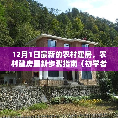 農(nóng)村建房最新步驟指南，從初學(xué)者到進(jìn)階用戶的實(shí)用指南（12月1日更新）