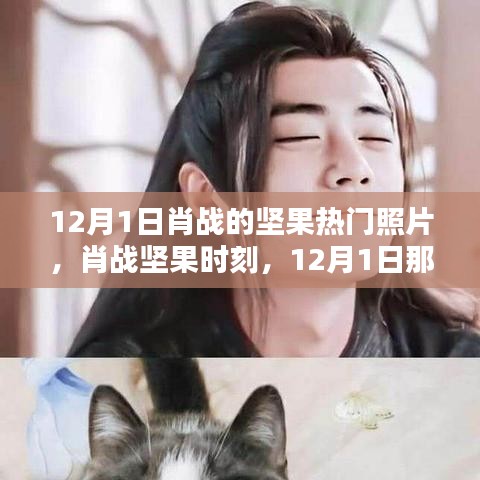 肖戰(zhàn)堅(jiān)果時(shí)刻，12月1日令人心動(dòng)的瞬間與熱門照片回顧