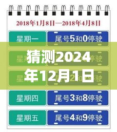 上海未來限行猜想，高架暢想曲與暖心故事，展望2024年12月的新規(guī)定