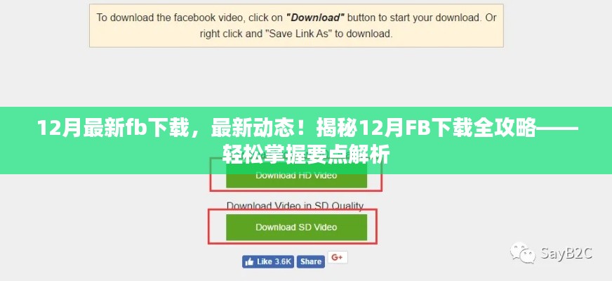 揭秘，最新動態(tài)下的FB下載全攻略，輕松掌握要點解析