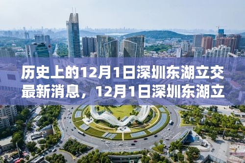 深圳東湖立交新進展，自然美景的心靈之旅啟程日紀念報道