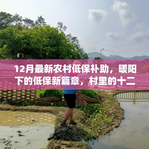 農(nóng)村低保補(bǔ)助新篇章，暖陽(yáng)下的十二月溫情紀(jì)事