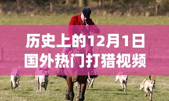 admin 第12頁