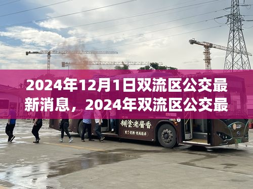 2024年雙流區(qū)公交最新消息詳解，獲取與使用公交服務(wù)的全面指南
