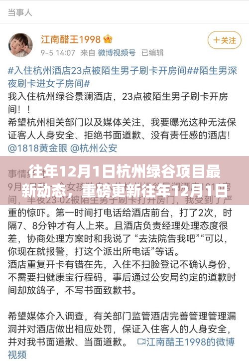 往年12月1日杭州綠谷項目掀起新篇章，最新動態(tài)與重磅更新