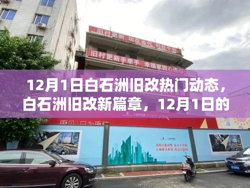 白石洲舊改新篇章，12月1日的日常與友情印記，熱議動態(tài)揭秘