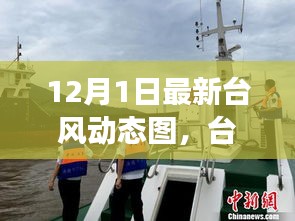 臺風(fēng)逆襲背后的力量與樂觀幽默，最新動態(tài)圖解析