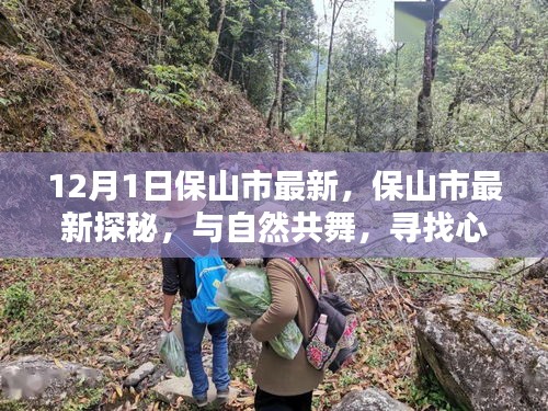 保山市最新探秘，與自然共舞，尋找心靈的寧靜圣地之旅