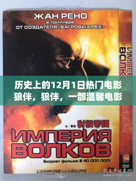 狼伴，一部溫馨電影背后的暖心故事與歷史的回響