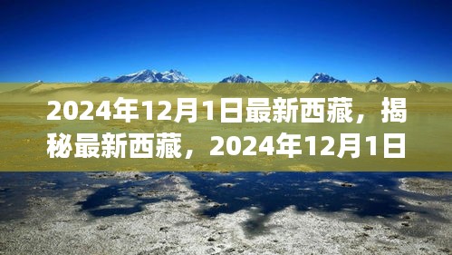 揭秘最新西藏，2024年西藏之旅的精彩瞬間（獨(dú)家報(bào)道）