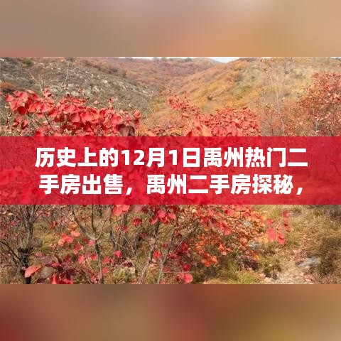眉飛色舞 第9頁