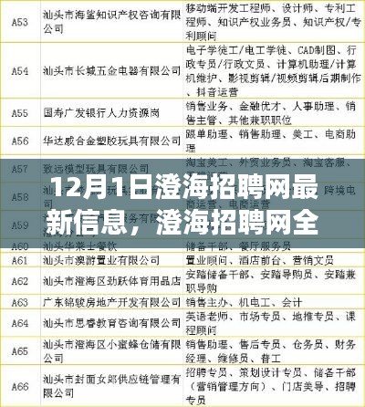 澄海招聘網(wǎng)全新升級，科技引領(lǐng)招聘變革，體驗未來招聘之旅（最新信息）