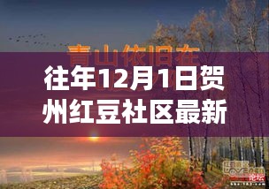 賀州紅豆社區(qū)往年1月1日最新主題深度評測與介紹