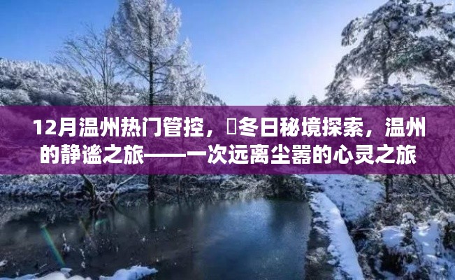 溫州冬季秘境探索，靜謐之旅的心靈之旅，12月熱門管控下的冬日秘境體驗