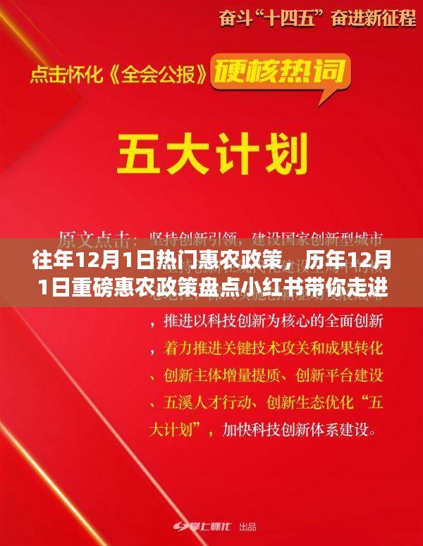 歷年12月1日惠農(nóng)政策盤點，走進紅利時代的鄉(xiāng)村福利小紅書分享會