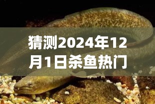 揭秘小巷深處的特色小店，預(yù)測未來殺魚熱門套路，味蕾與獵奇的盛宴（XXXX年殺魚新趨勢）