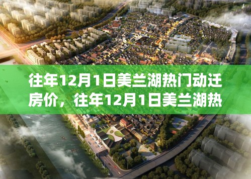 深度解析與觀點(diǎn)闡述，往年12月1日美蘭湖熱門動遷房價(jià)走勢與趨勢預(yù)測