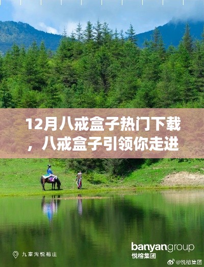 八戒盒子引領(lǐng)心靈之旅，12月熱門(mén)下載開(kāi)啟自然美景探索之旅