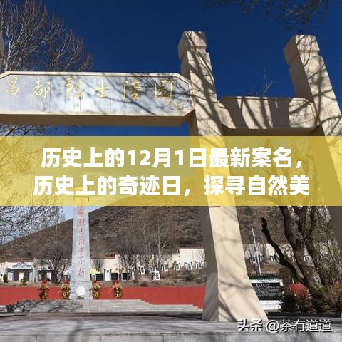 探尋奇跡日，歷史上的自然美景之旅與寧?kù)o革命之路的探尋