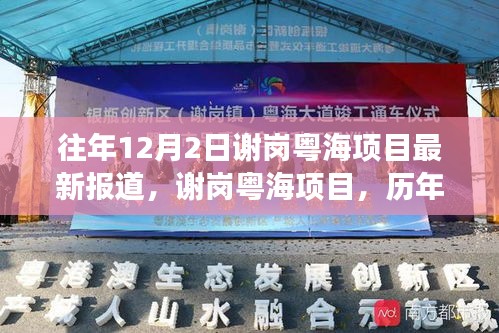 謝崗粵海項目歷年深度解讀與最新進(jìn)展報道，歷年12月2日最新報道匯總分析