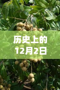 歷史上的今天，西安桂圓西苑科技新品重磅發(fā)布，智能革命風(fēng)暴掀起未來科技新生活體驗(yàn)
