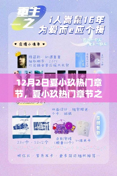 夏小玖熱門章節(jié)探析與個(gè)人立場(chǎng)闡述，12月2日之我見