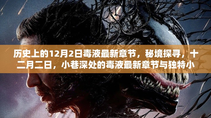 秘境探尋，毒液最新章節(jié)與獨特小店的奇妙邂逅在十二月二日
