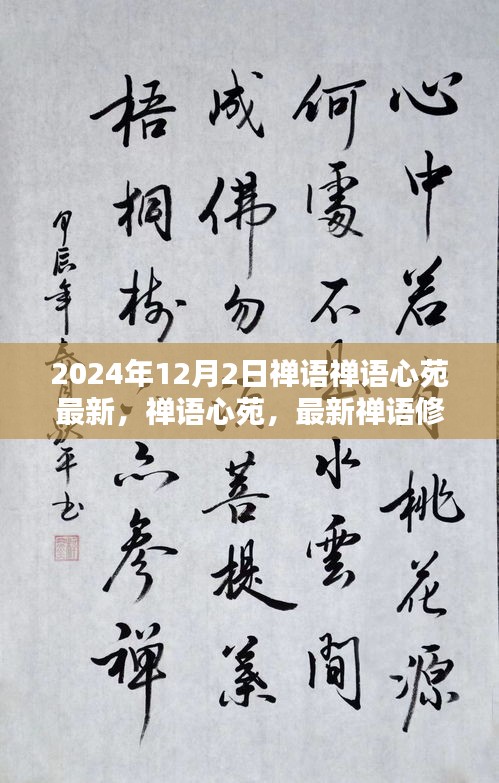 禪語心苑，最新禪語修行指南（初學者與進階用戶適用）——每日禪悟，開啟心靈之旅
