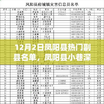 鳳陽縣副縣名單揭秘，小巷深處的特色小店與熱門人物盤點