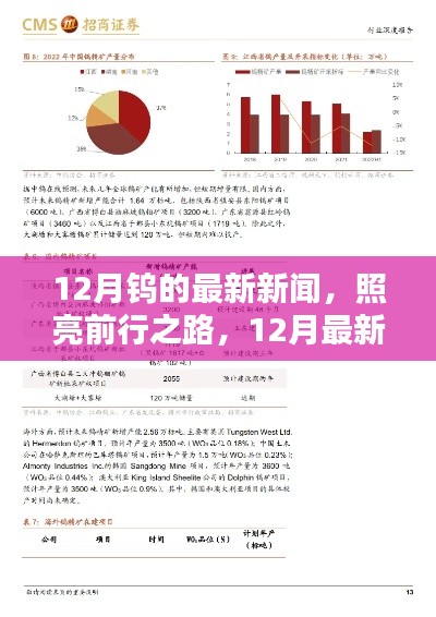 12月鎢的最新動(dòng)態(tài)，照亮前行之路的深度測(cè)評(píng)與產(chǎn)品介紹