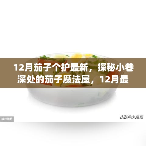 揭秘十二月的茄子護(hù)膚秘密，探秘小巷深處的魔法屋，最新茄子個(gè)護(hù)指南