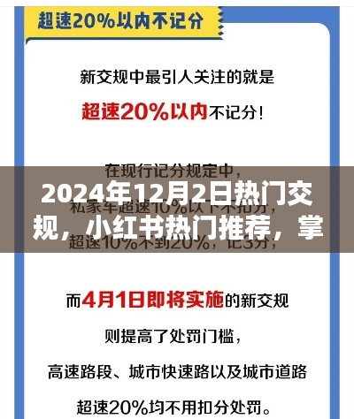 2024年交規(guī)新動態(tài)與熱門推薦，小紅書指南助你出行必備
