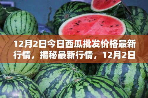揭秘最新行情，深度解析12月2日西瓜批發(fā)價格走勢及最新行情