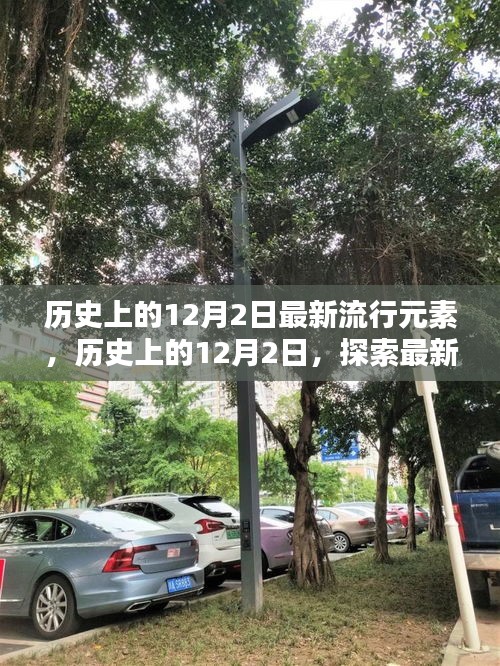 歷史上的12月2日，探索最新流行元素的詳細(xì)指南與趨勢(shì)觀(guān)察