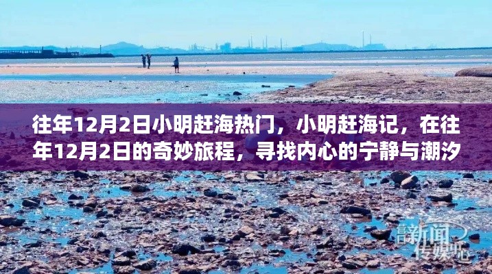 小明趕海記，尋找潮汐之聲與內(nèi)心的寧靜之旅